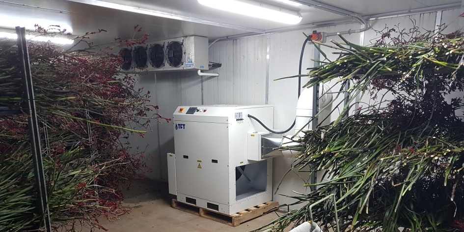 Flower Drying Using a dehumidifier 